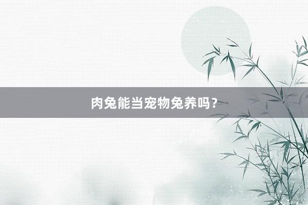 肉兔能当宠物兔养吗？